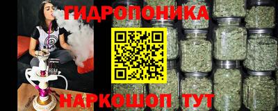 гашик Лесосибирск