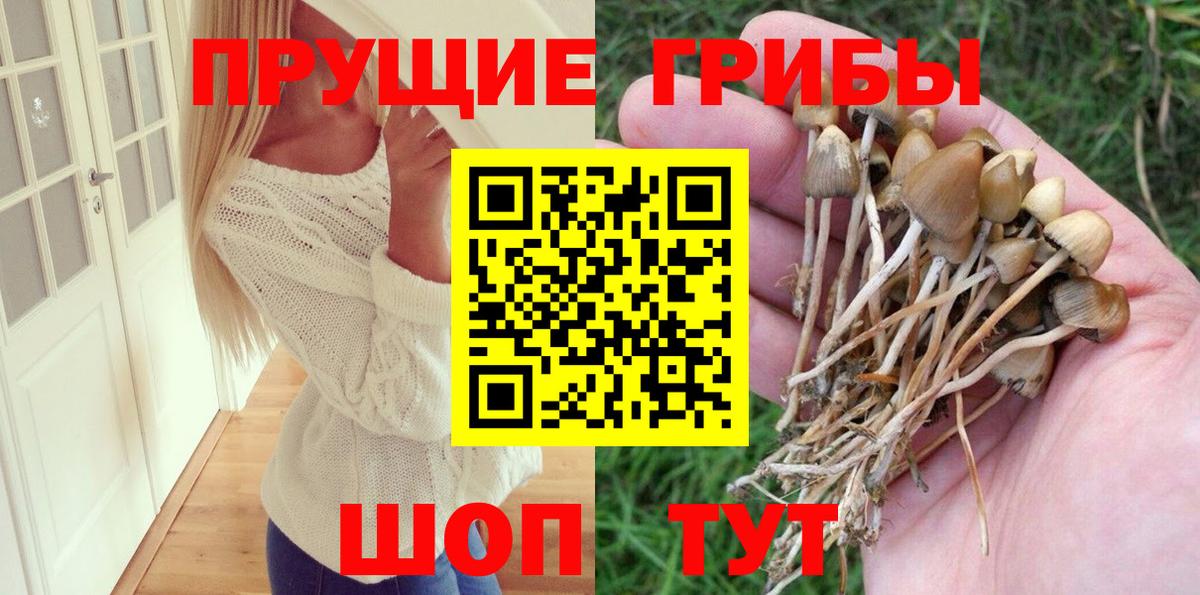 Галлюциногенные грибы MAGIC MUSHROOMS  Вход с VPN  Галлюциногенные грибы мухоморы  Добрянка 