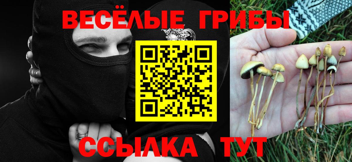 Псилоцибиновые грибы мицелий Добрянка
